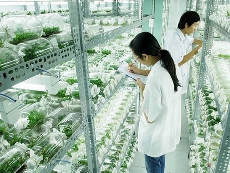 Establishment of Hanoi High-Tech Biotechnology Park of 200 hectares