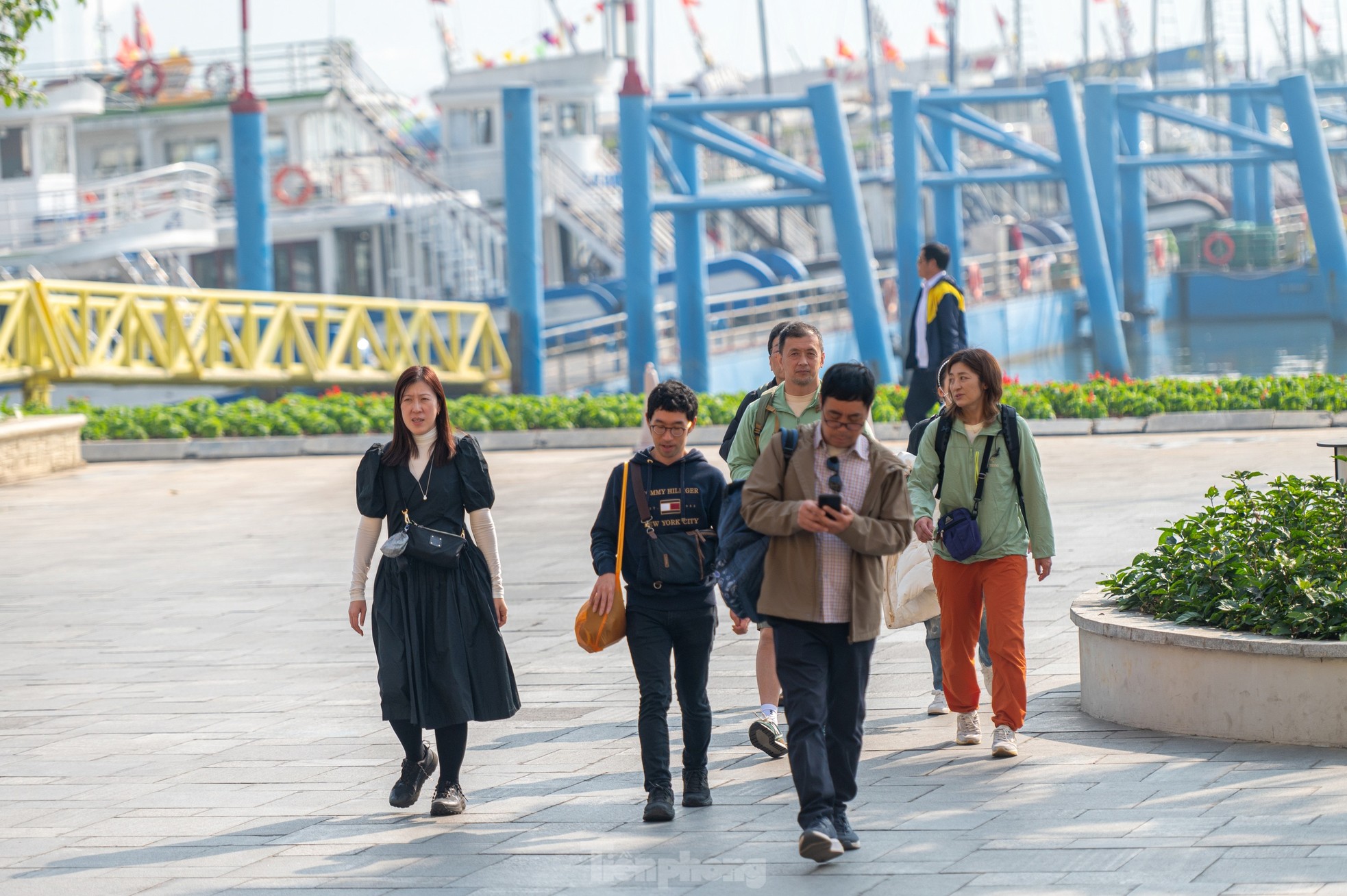 Nha Trang und Ha Long Bay ziehen am ersten Tag des Jahres internationale Besucher an. Foto 19