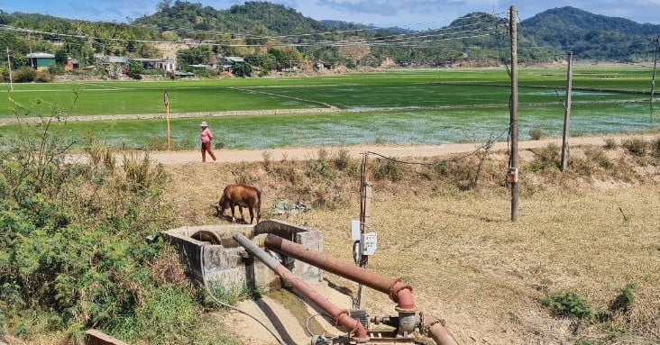 Phê bình chủ tịch xã buông lỏng quản lý, để khủng hoảng thông tin trên mạng