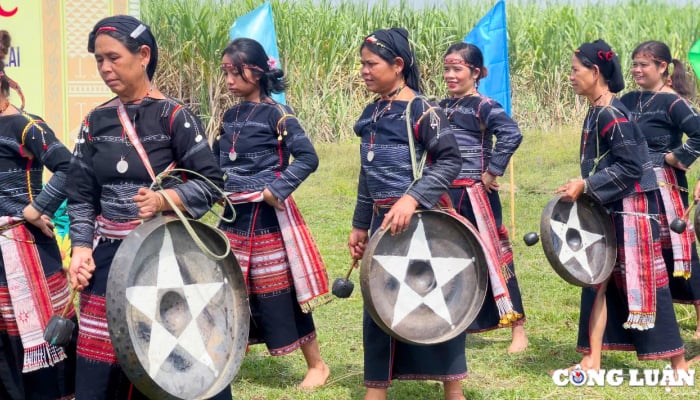 Bahnar villagers reenact the water worship ceremony