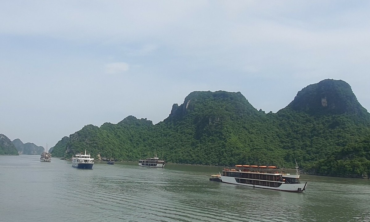 Chủ tàu du lịch mong dự báo bão sát hơn, chuyên gia nói 'không thể'