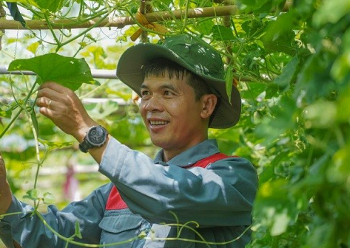 Exalumnos internacionales plantan 'brotes verdes' en su tierra natal