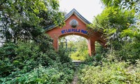 クアンガイ省のホアビン・ミーライ公園は20年間放置されていた