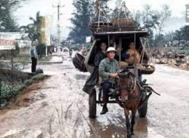 Nhớ tiếng vó ngựa lộc cộc, lộc cộc trên con đường nắng - Ảnh tư liệu