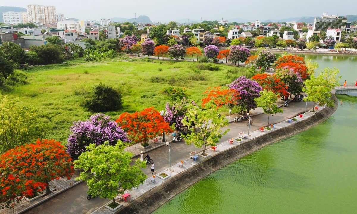 Con đường hoa đẹp như Hàn Quốc giữa TP Thanh Hóa- Ảnh 9.