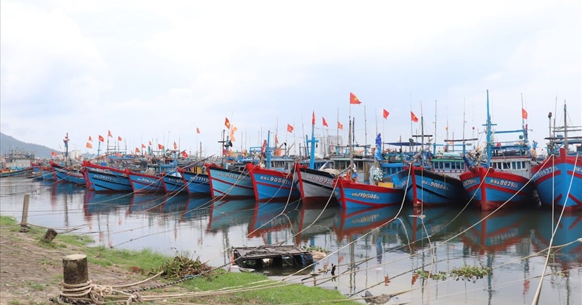 El Mar del Este está a punto de recibir la tormenta Usagi, nivel 13, Quang Ninh y Binh Dinh están preocupados por la respuesta