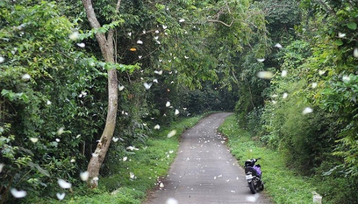 Cuc Phuong National Park is Asia's Leading National Park for the 6th Consecutive Time