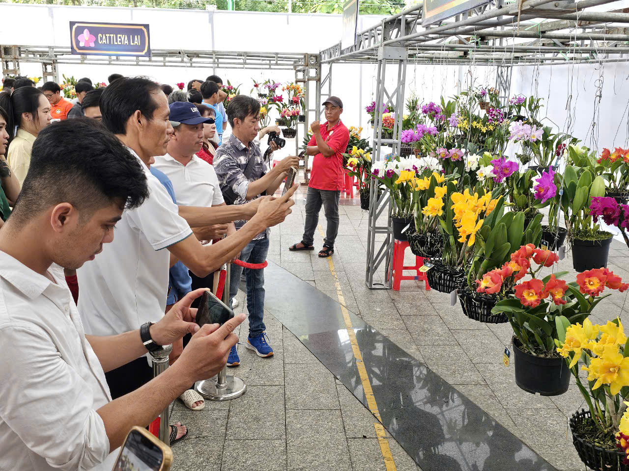 Cần Thơ “chơi lớn”, thưởng 3 chiếc xe máy cho nghệ nhân cả nước đạt giải thi lan  - Ảnh 1.