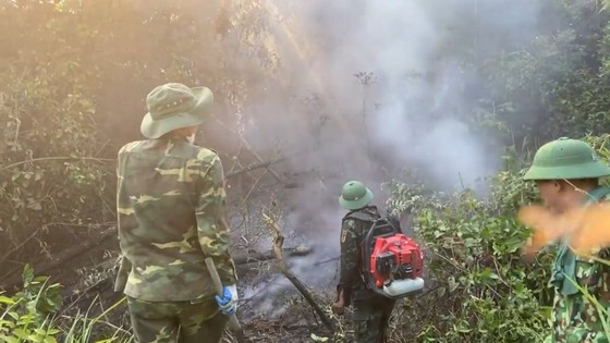 Hunderte von Menschen mobilisierten sich, um Waldbrände in Ha Tinh zu löschen. Foto 10