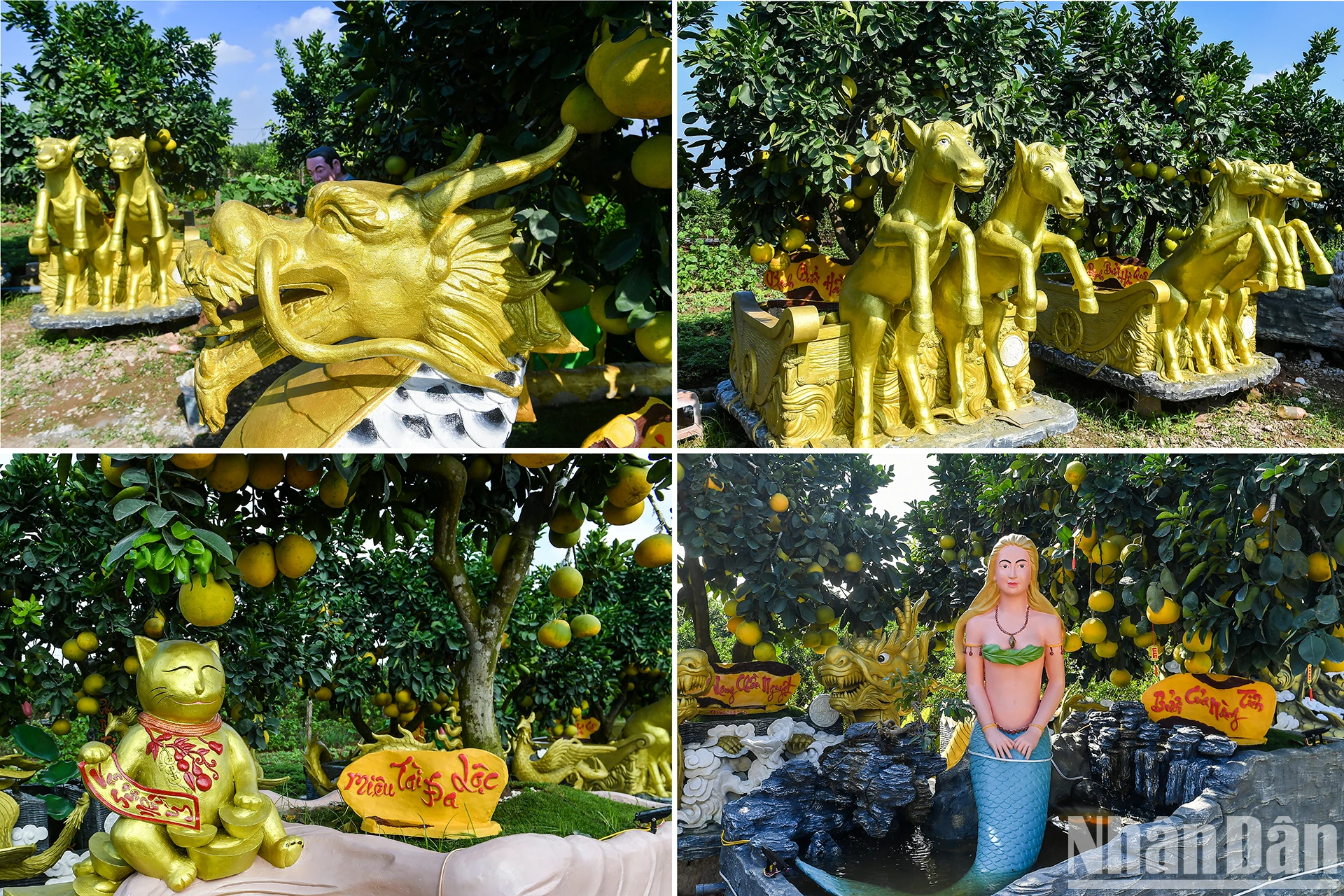 [Foto] Maceta 
