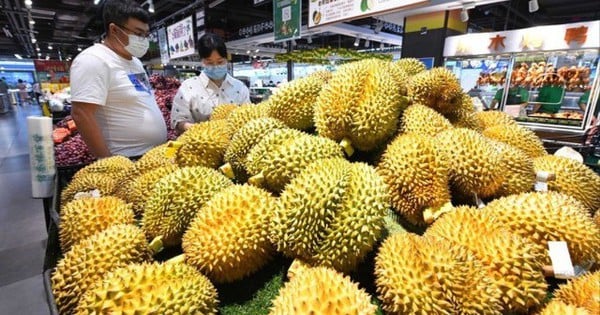 For the first time, the Vietnam Fruit Festival was held in the Chinese capital Beijing.