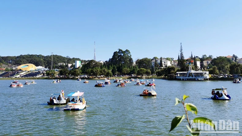 Spring tourists to Da Lat increased by more than 60% compared to the same period in 2023 photo 2