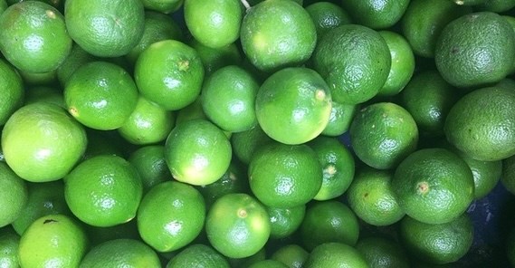 新鮮なレモンの皮を使うと内臓脂肪や脂肪肝が改善されます。