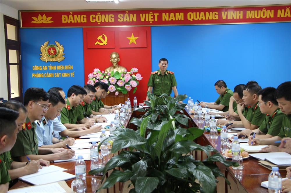 Generalleutnant Tran Minh Le, Direktor der Umweltpolizeiabteilung des Ministeriums für öffentliche Sicherheit, hielt bei dem Treffen eine Abschlussrede.