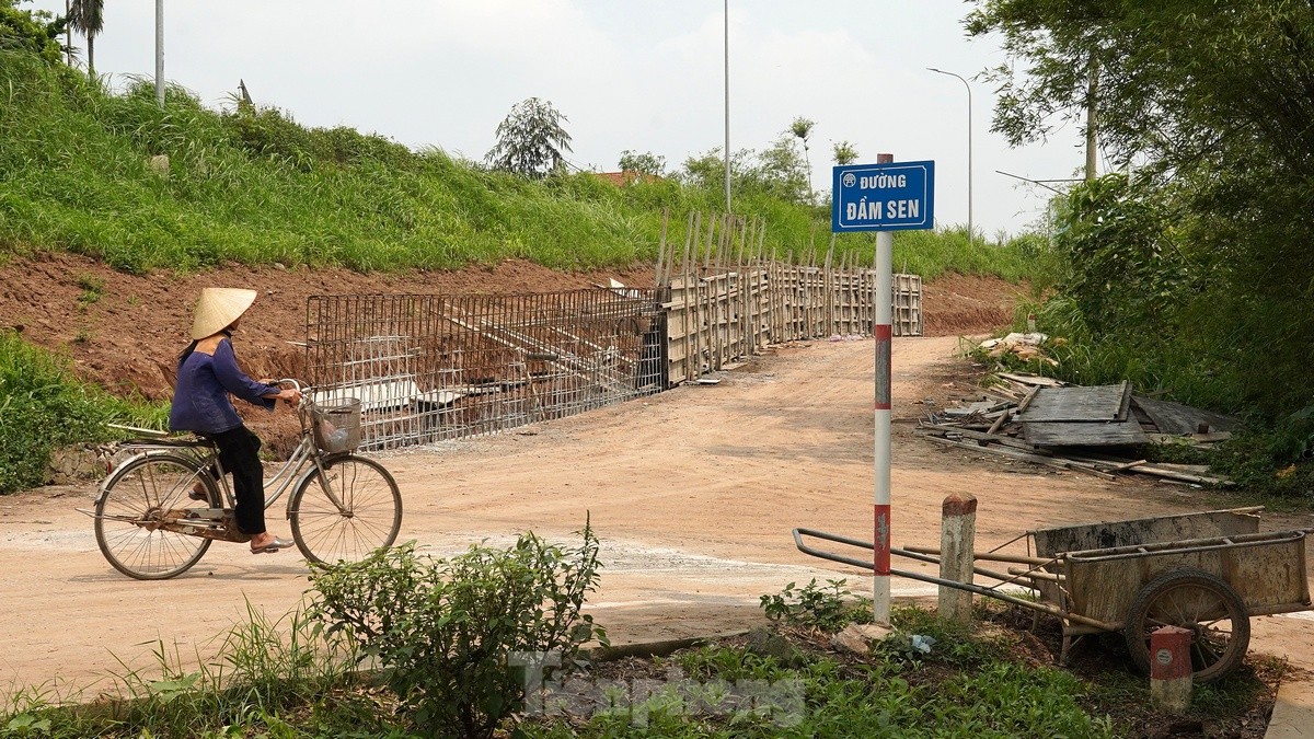 Hanoi dépense près de 400 milliards de VND pour rénover la digue de la rivière Rouge à travers le district de Phu Xuyen, photo 1