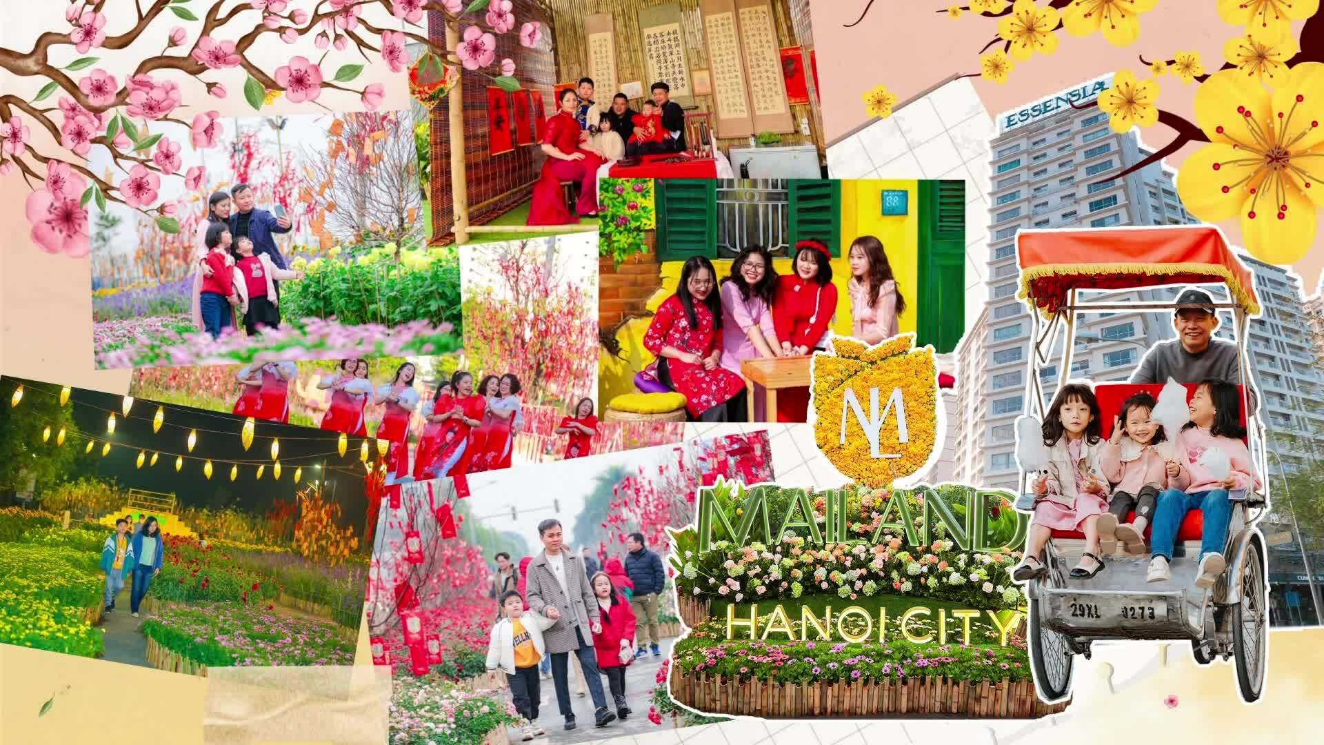 Spring flower street lasts 11 days in the West of Hanoi