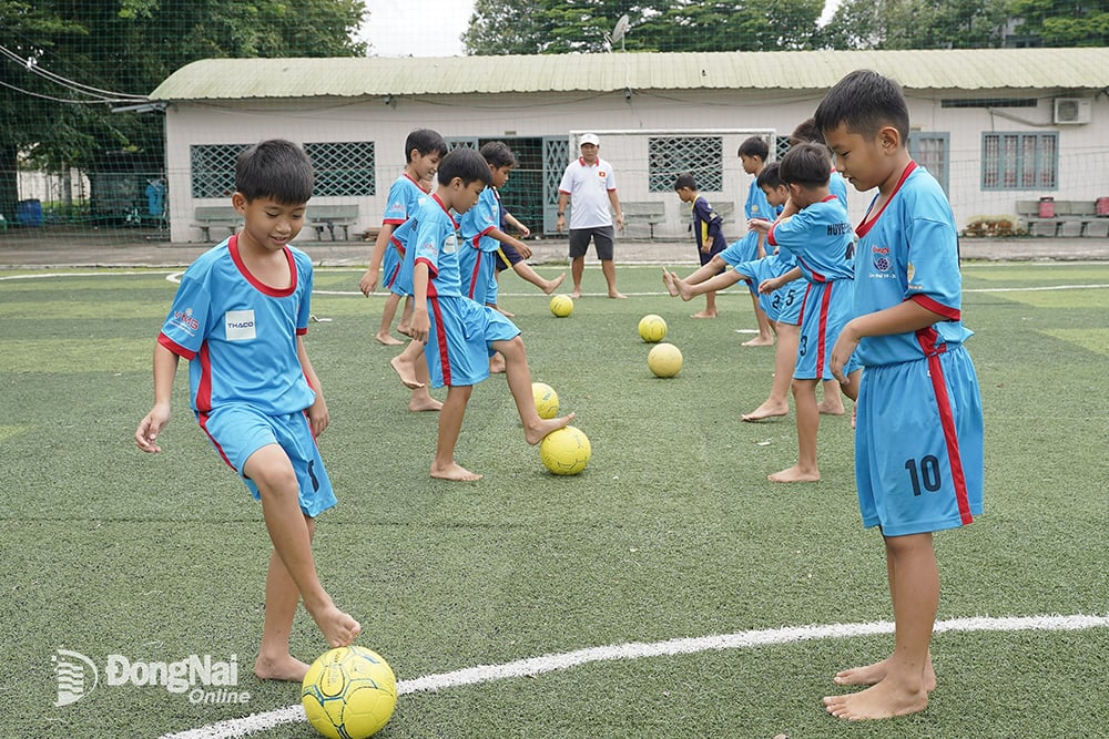 Các cầu thủ nhí 