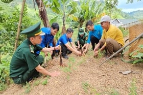 Профсоюз - газета «Quang Tri» Молодежный союз помогает членам профсоюза в трудных районах