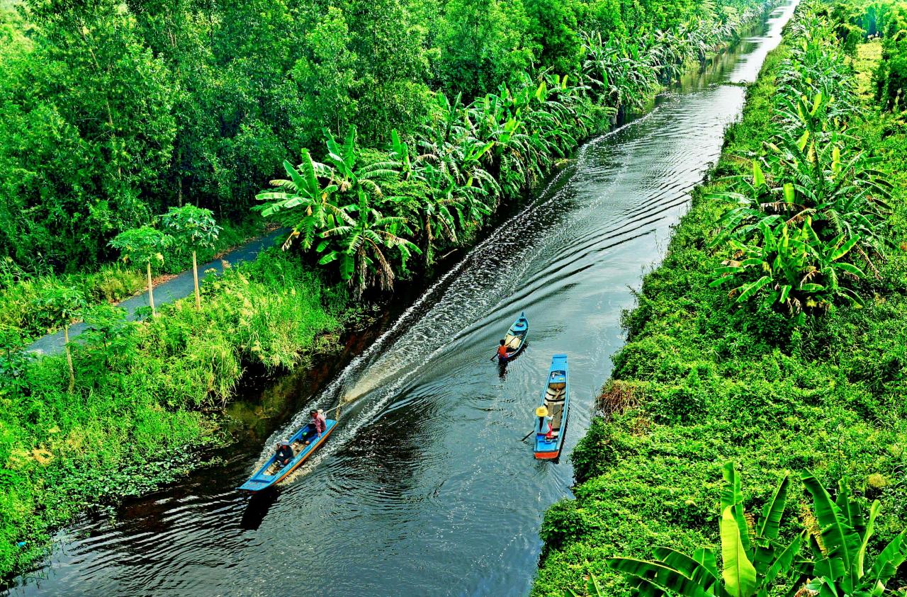 Vườn Quốc Gia U Minh Hạ - Cà Mau