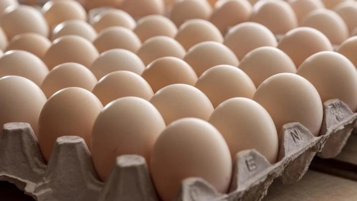 Why are archaeologists afraid of 'chicken eggs' when excavating ancient tombs? - 1