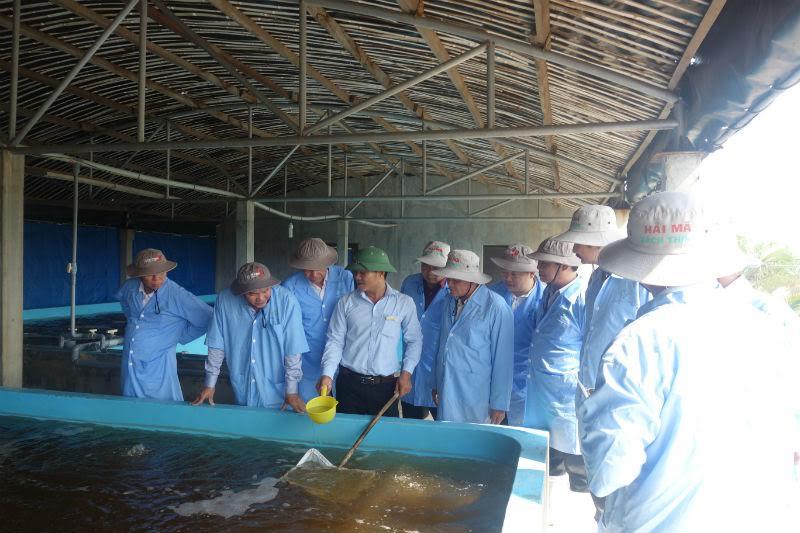 農業、観光、科学技術分野における協力内容を深く研究し拡大する