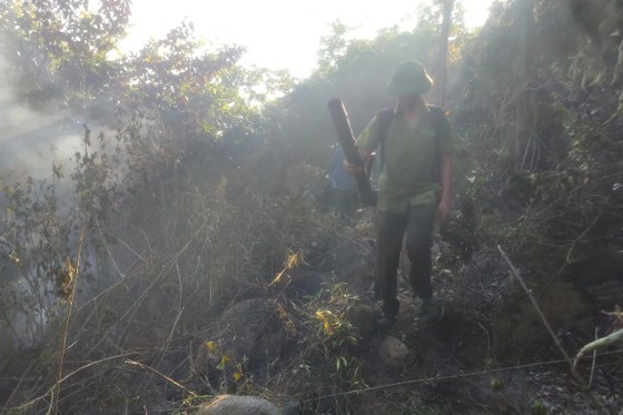 Hunderte von Menschen mobilisierten sich, um Waldbrände in Ha Tinh zu löschen. Foto 11