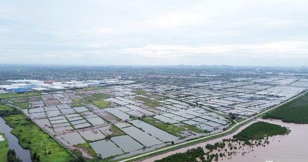 El campo de golf de 2,1 billones de VND en Do Son está "inactivo"