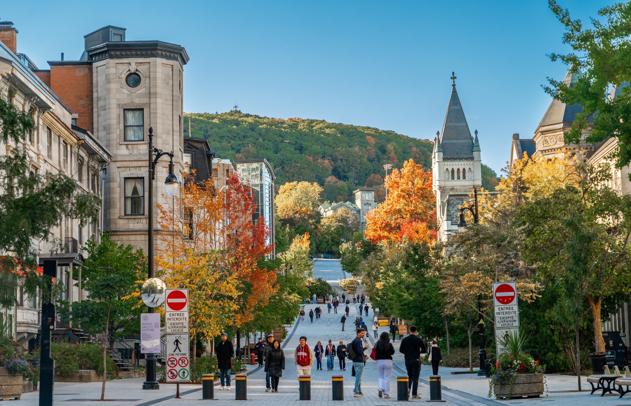 Canada mở rộng cơ hội để du học sinh ở lại làm việc- Ảnh 1.