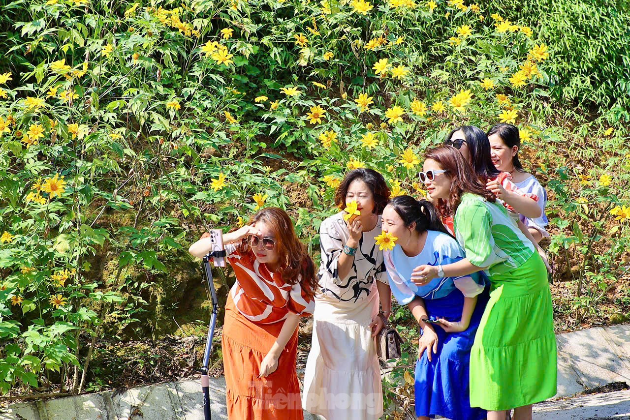 Des foules admirent les tournesols sauvages dans la banlieue de Hanoi, photo 15