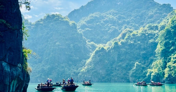 Foreign tourists flock to Ha Long Bay to enjoy the romance of autumn