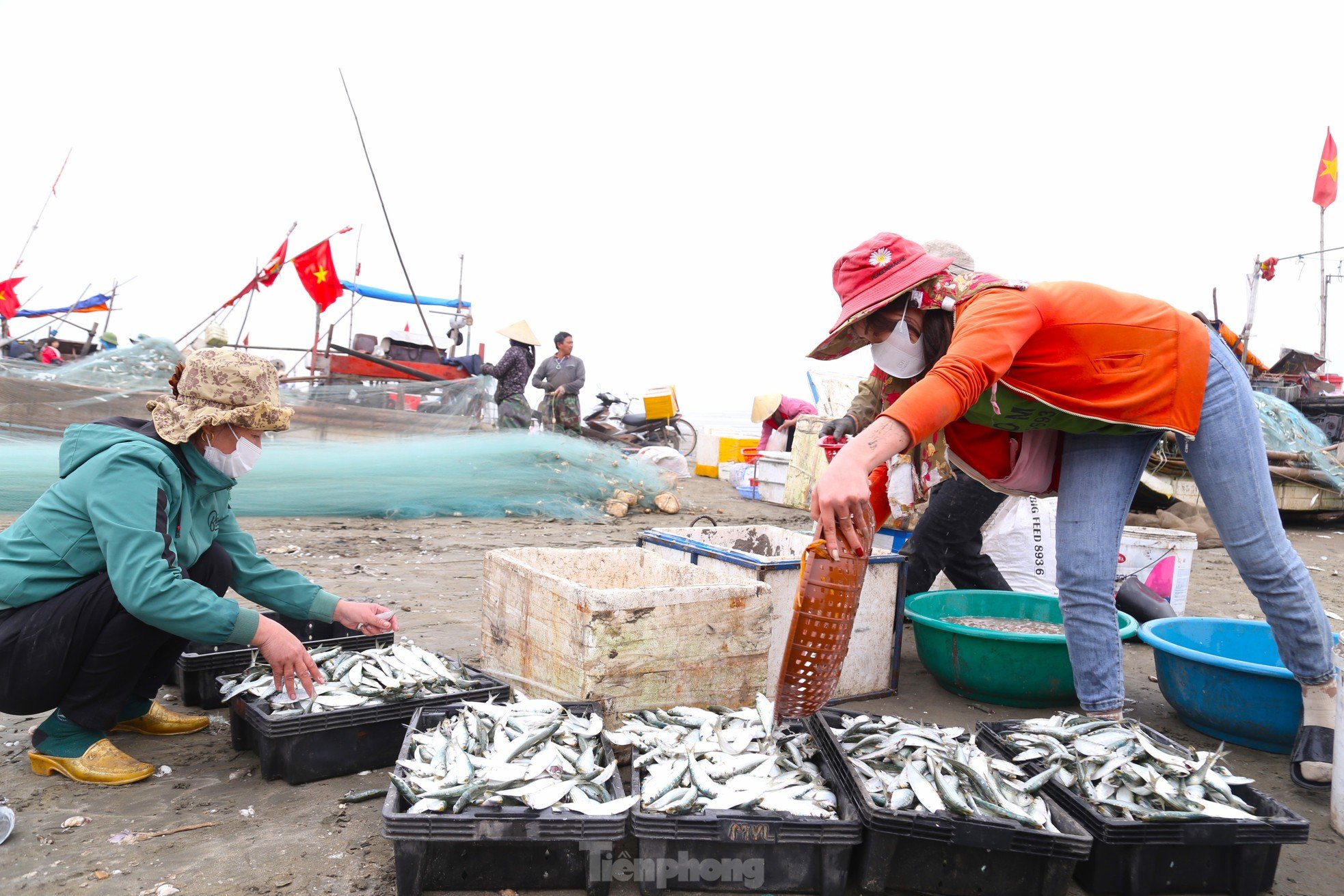 真夜中の波間を釣り、「高タンパク」の魚を捕まえる。漁師の手は魚を外すのに疲れている。写真15