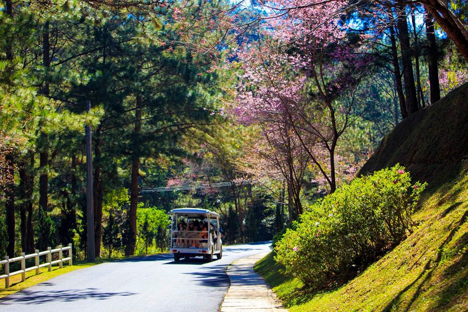 A bus driving down a road  Description automatically generated