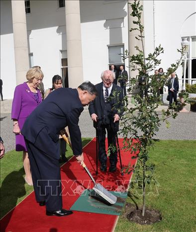 General Secretary and President To Lam plants a souvenir tree at the Irish Presidential Palace. Photo: VNA