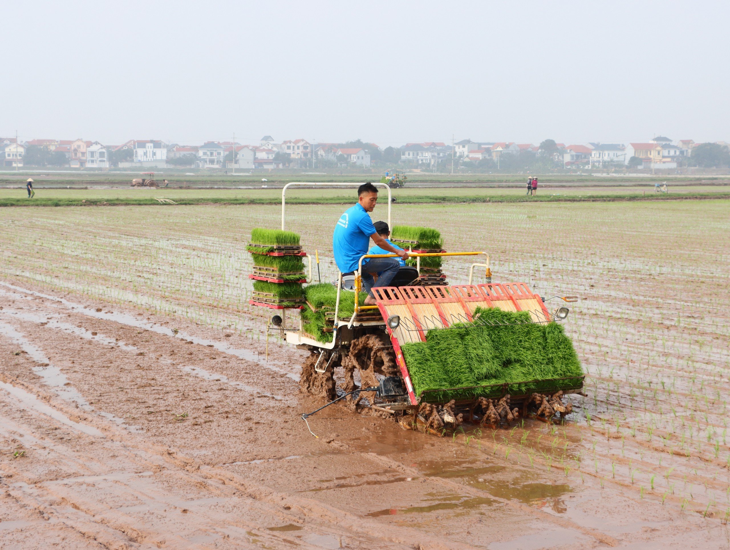 Hà Nội tổ chức thi tìm người vận hành máy cấy giỏi- Ảnh 1.