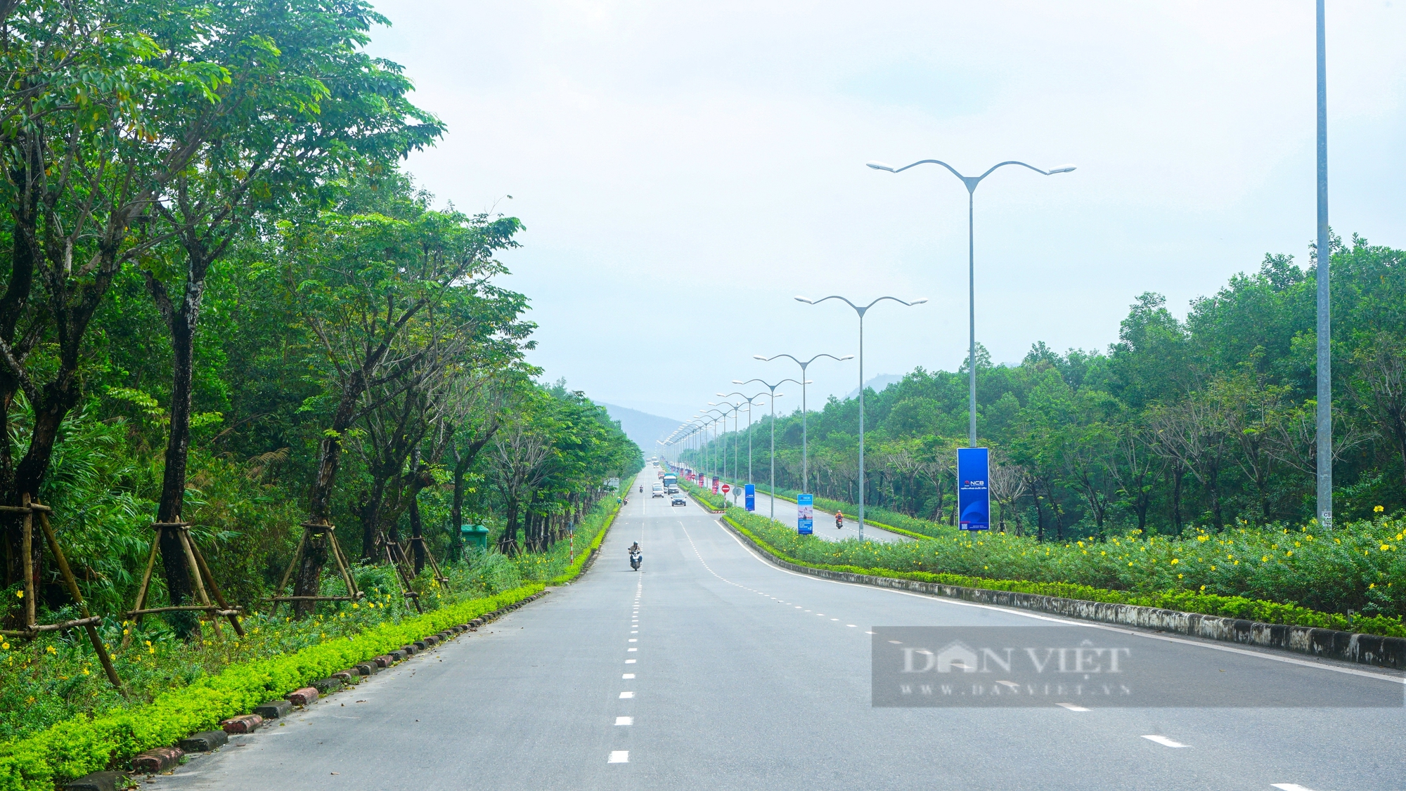 Khu vực được quy hoạch làm khu đô thị sinh thái nằm tựa núi với tầm nhìn ấn tượng tại Đà Nẵng- Ảnh 13.