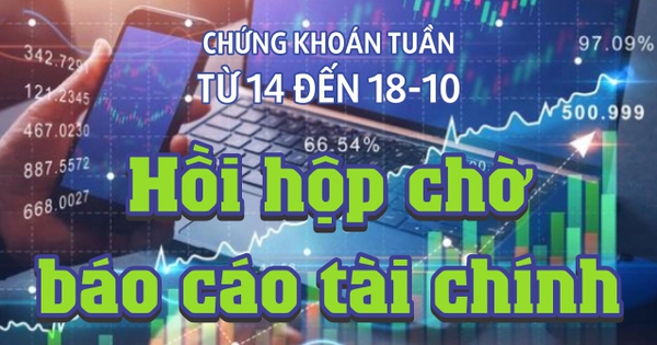 Hồi hộp chờ báo cáo tài chính