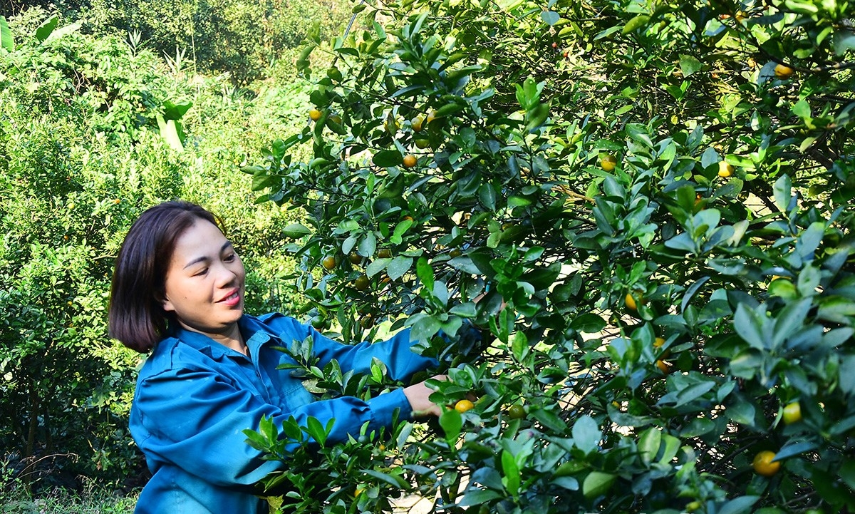 Không chỉ gương điển hình trong phát triển kinh tế, 6 năm là người có uy tín, chị Bàn Thị Sản còn nêu cao vai trò, trách nhiệm, chủ động nắm bắt ý kiến, tâm tư nguyện vọng của người dân cũng như đồng bào các DTTS