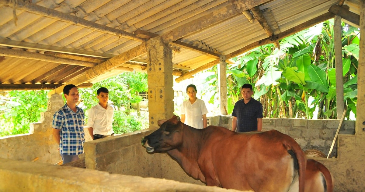 ជំនះការលំបាក ហើយក្រោកឡើង