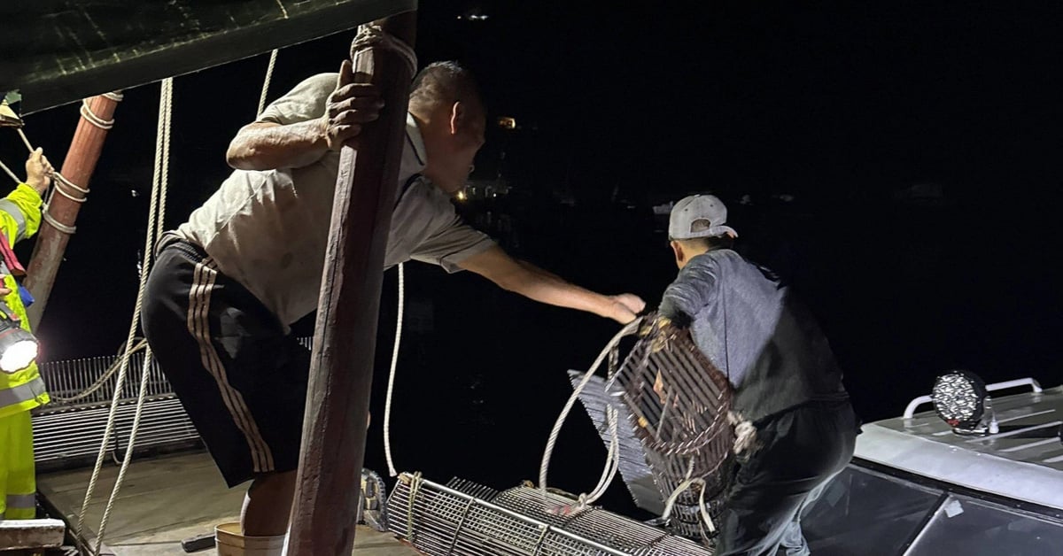 Quang Ninh handles more than 30 cases of illegal IUU fishing