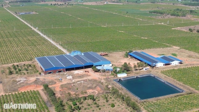 Vista de la autopista Phan Thiet-Dau Giay antes del día de apertura (foto 5)