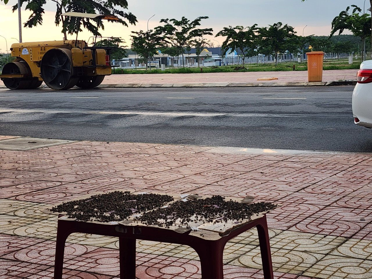 ហោះ-1-.jpg