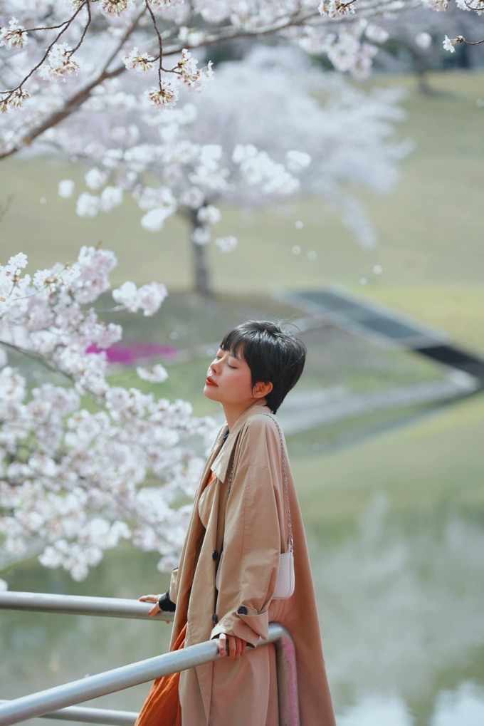 Vietnamesische Touristen checken Kirschblüten in Japan ein, Foto aufgenommen im Jahr 2023. Foto: Hoang Anh