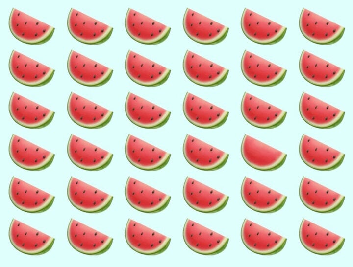 Guess where the seedless watermelon is?