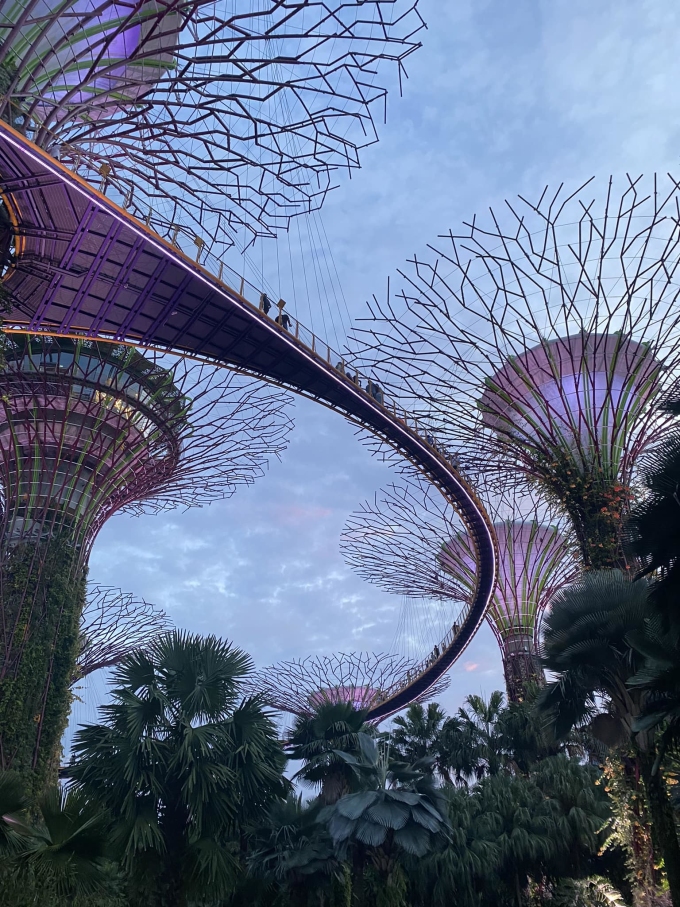 Gardens by the bay through the lens of a Vietnamese male tourist.