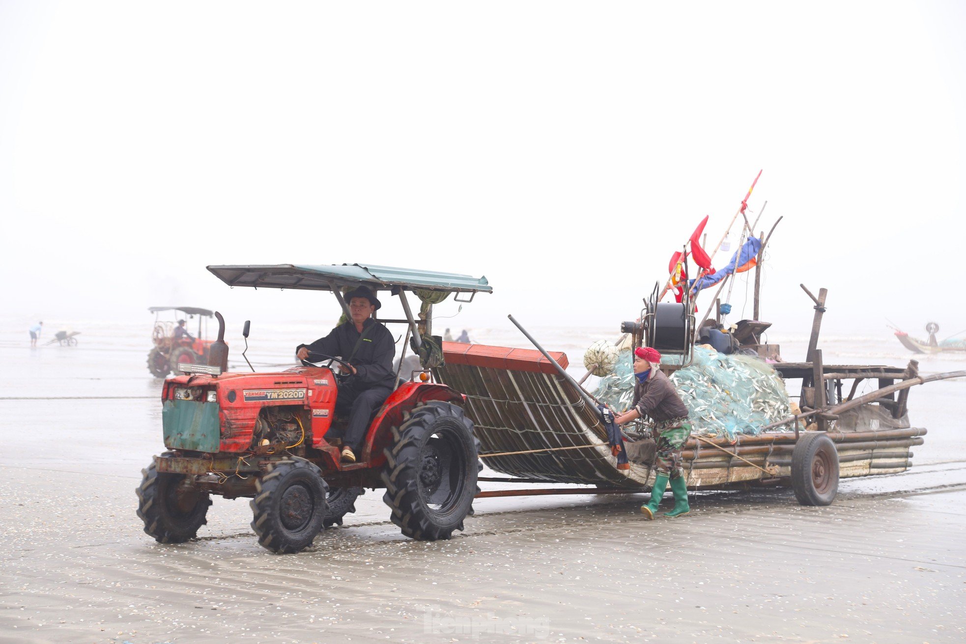 Nửa đêm vượt sóng trúng con 'lắm đạm', ngư dân gỡ mỏi tay ảnh 1