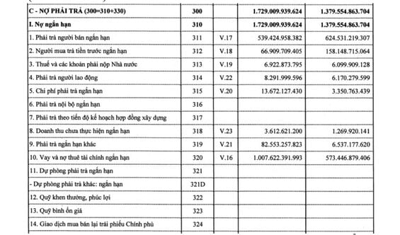 Nợ vay Alphanam tăng nhanh trong năm 2023. Ảnh: Trích chụp BCTC công ty. 