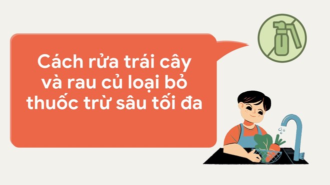 វិធីលាងផ្លែឈើ និងបន្លែ ដើម្បីកម្ចាត់ថ្នាំសំលាប់សត្វល្អិតអតិបរមា