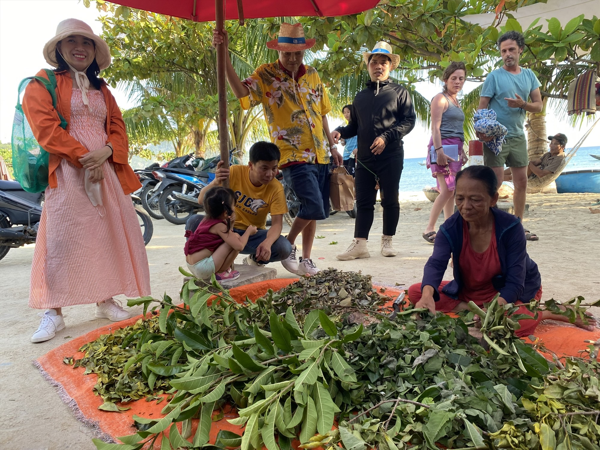 สัมผัสอาชีพเก็บใบไม้ป่ามาทำน้ำดื่ม ภาพโดย : วี.แอล