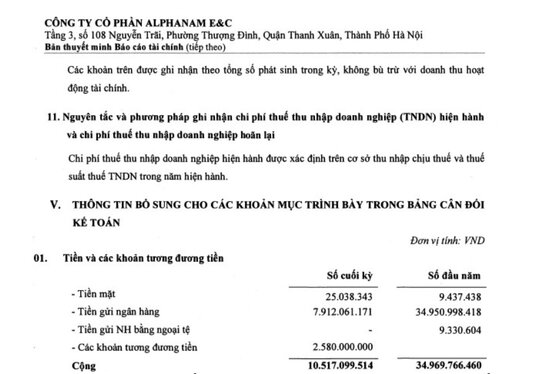 Tiền mặt tại công ty còn 25 triệu đồng. Ảnh: Trích chụp BCTC công ty. 