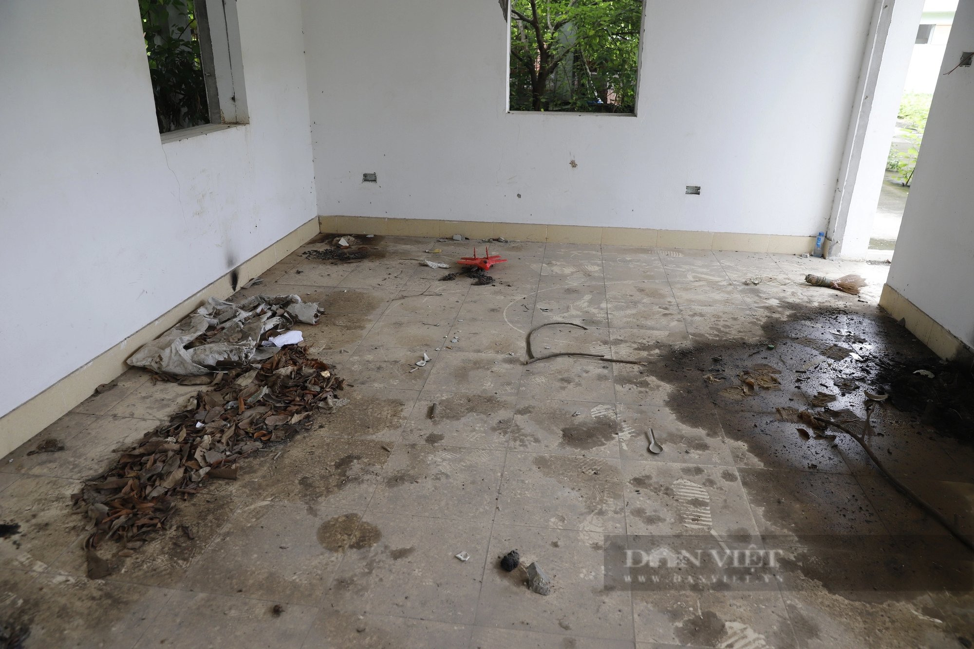 Chợ bỏ hoang ở Hà Nội: Dây leo chằng chịt, kim tiêm vương vãi tại ngôi chợ hơn 20 tỷ đồng- Ảnh 7.